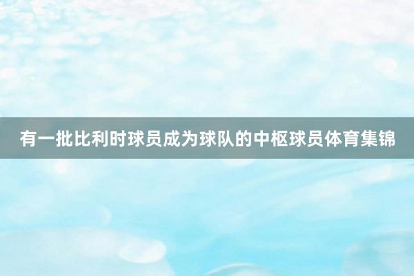 有一批比利时球员成为球队的中枢球员体育集锦