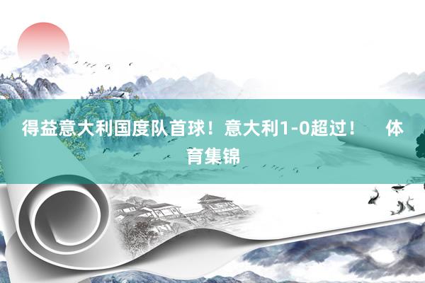 得益意大利国度队首球！意大利1-0超过！    体育集锦