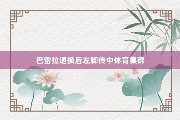 巴雷拉退换后左脚传中体育集锦
