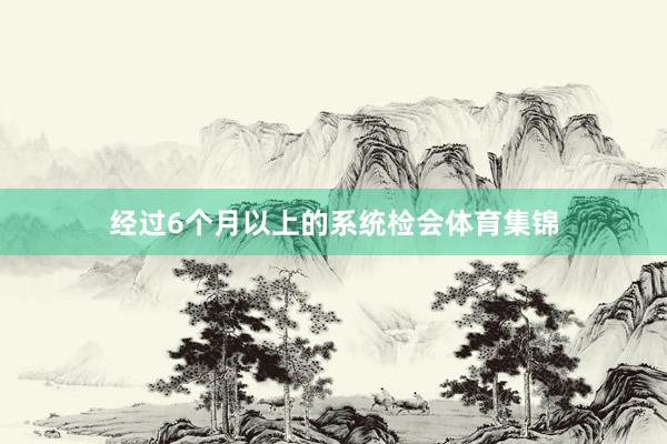 经过6个月以上的系统检会体育集锦