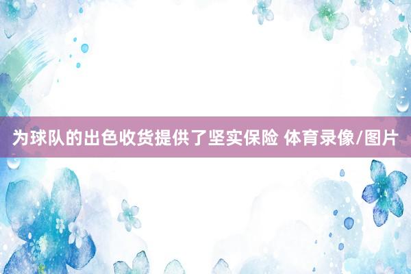 为球队的出色收货提供了坚实保险 体育录像/图片