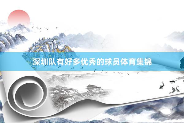 深圳队有好多优秀的球员体育集锦