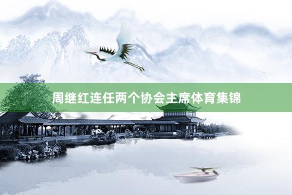 周继红连任两个协会主席体育集锦