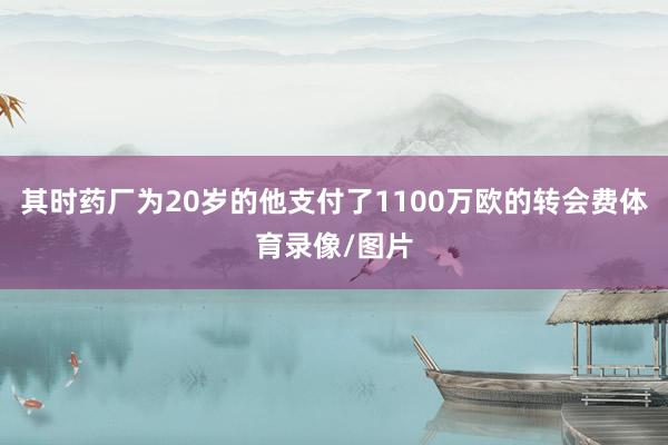 其时药厂为20岁的他支付了1100万欧的转会费体育录像/图片