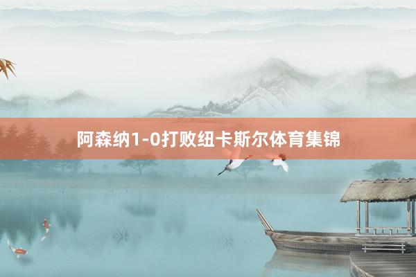 阿森纳1-0打败纽卡斯尔体育集锦