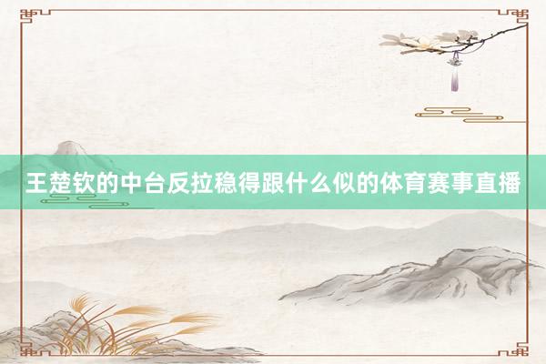 王楚钦的中台反拉稳得跟什么似的体育赛事直播