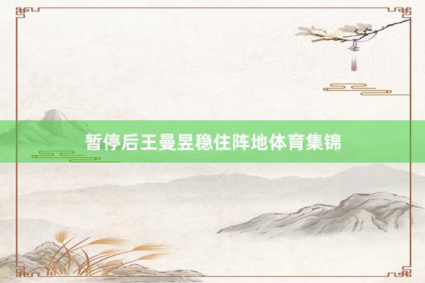 暂停后王曼昱稳住阵地体育集锦