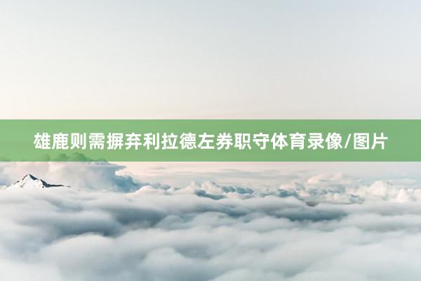 雄鹿则需摒弃利拉德左券职守体育录像/图片