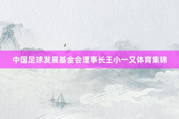 中国足球发展基金会理事长王小一又体育集锦