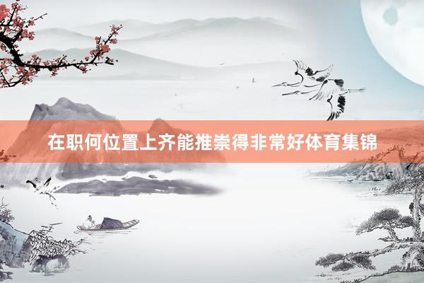 在职何位置上齐能推崇得非常好体育集锦