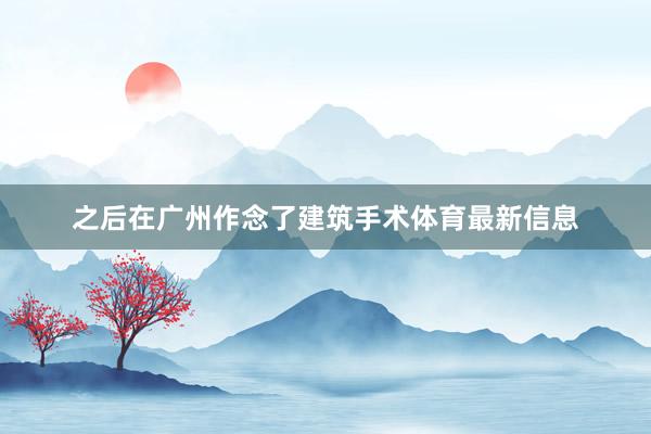 之后在广州作念了建筑手术体育最新信息