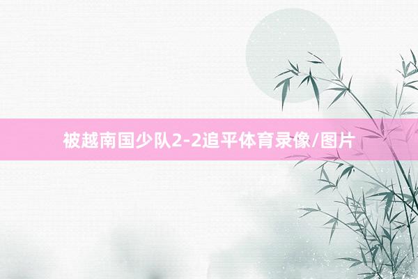 被越南国少队2-2追平体育录像/图片