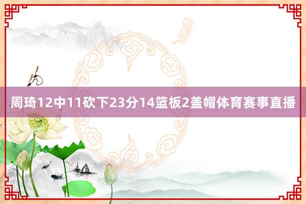 周琦12中11砍下23分14篮板2盖帽体育赛事直播