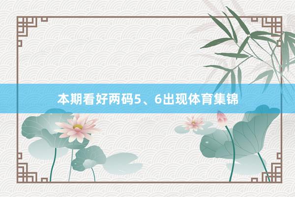 本期看好两码5、6出现体育集锦