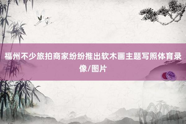 福州不少旅拍商家纷纷推出软木画主题写照体育录像/图片
