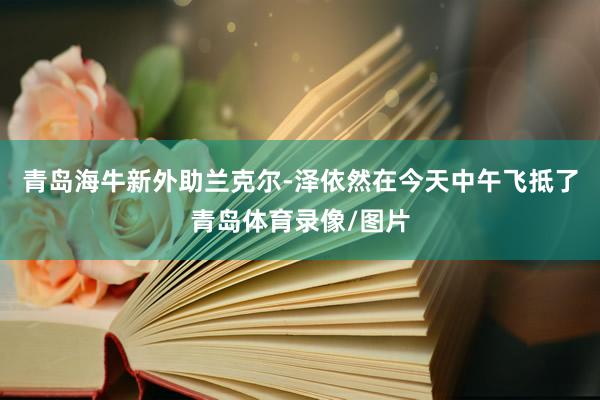 青岛海牛新外助兰克尔-泽依然在今天中午飞抵了青岛体育录像/图