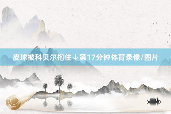 皮球被科贝尔抱住↓第17分钟体育录像/图片