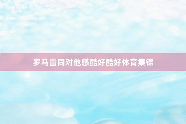 罗马雷同对他感酷好酷好体育集锦