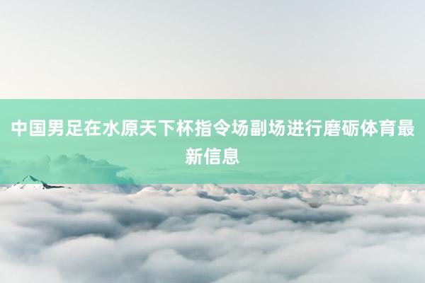 中国男足在水原天下杯指令场副场进行磨砺体育最新信息