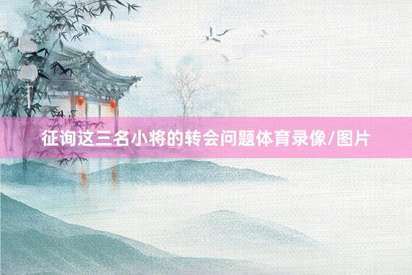 征询这三名小将的转会问题体育录像/图片
