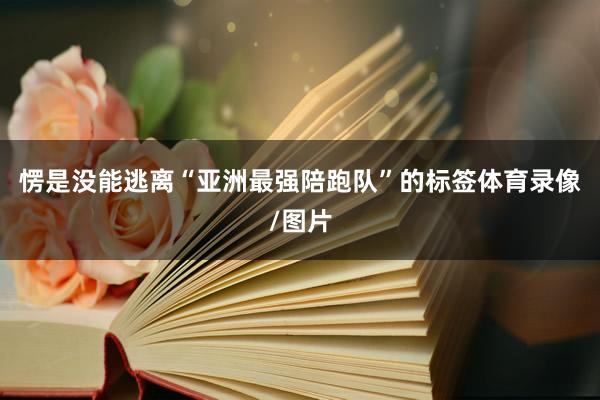 愣是没能逃离“亚洲最强陪跑队”的标签体育录像/图片