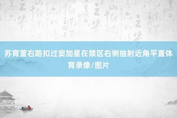 苏育萱右路扣过窦加星在禁区右侧抽射近角平直体育录像/图片