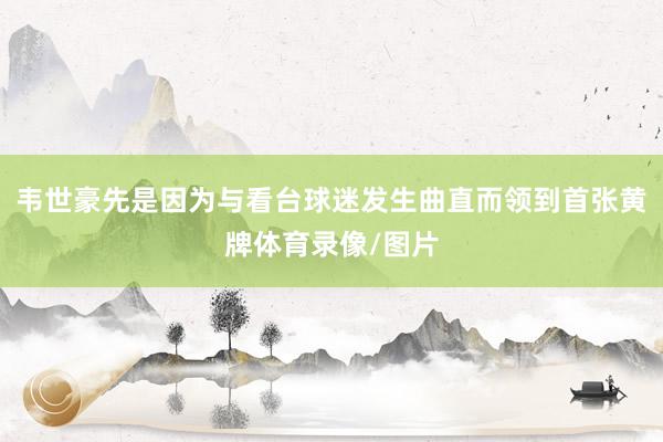韦世豪先是因为与看台球迷发生曲直而领到首张黄牌体育录像/图片