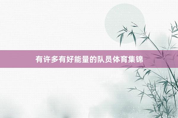 有许多有好能量的队员体育集锦