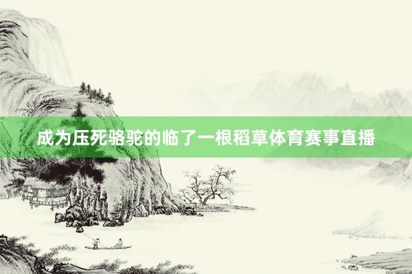 成为压死骆驼的临了一根稻草体育赛事直播