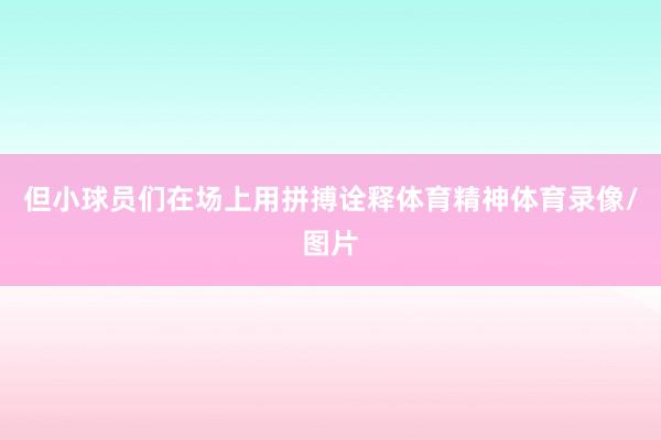 但小球员们在场上用拼搏诠释体育精神体育录像/图片
