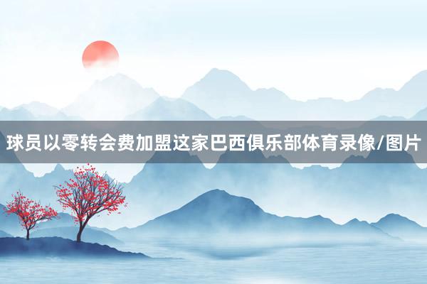 球员以零转会费加盟这家巴西俱乐部体育录像/图片