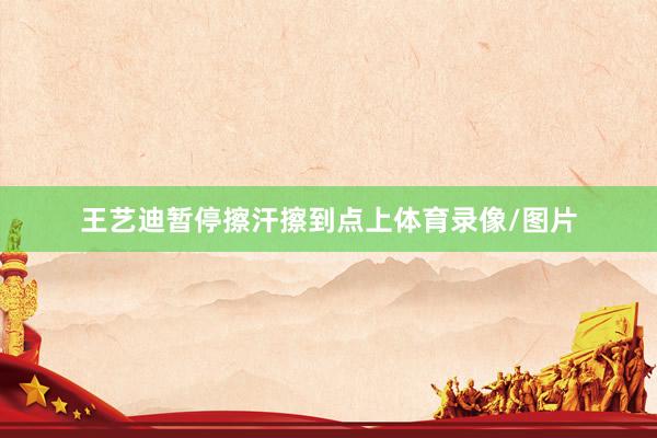 王艺迪暂停擦汗擦到点上体育录像/图片