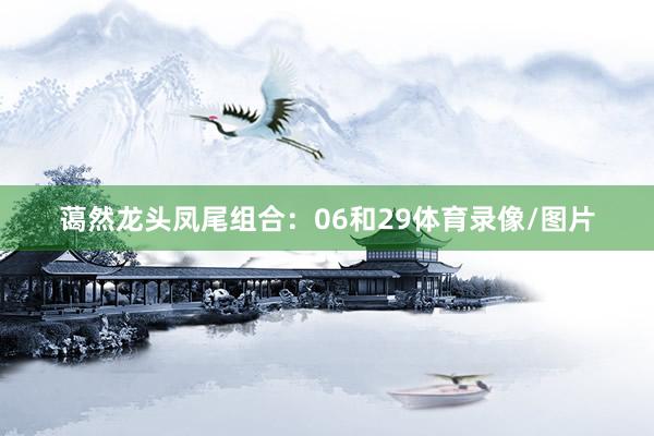 蔼然龙头凤尾组合：06和29体育录像/图片