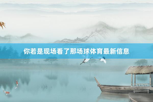 你若是现场看了那场球体育最新信息