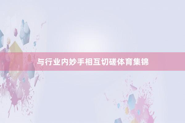 与行业内妙手相互切磋体育集锦