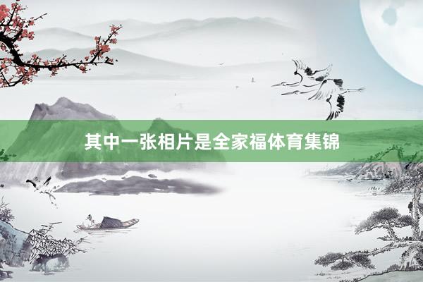 其中一张相片是全家福体育集锦