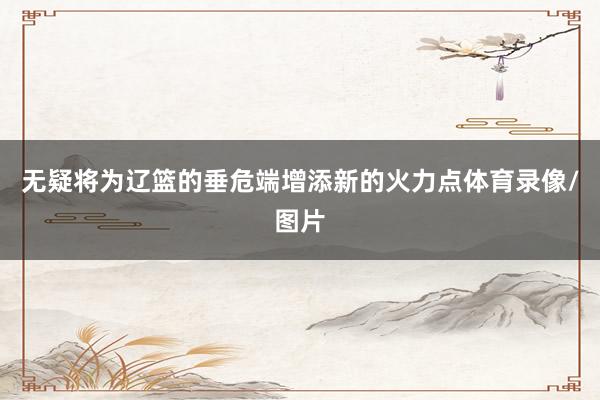 无疑将为辽篮的垂危端增添新的火力点体育录像/图片