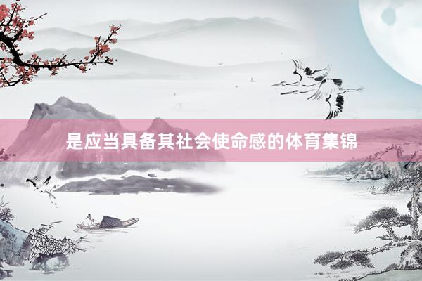 是应当具备其社会使命感的体育集锦