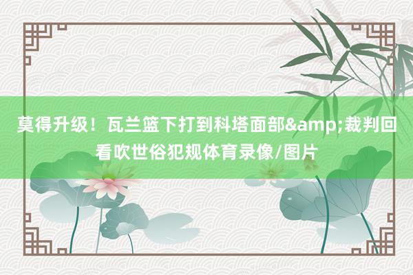 莫得升级！瓦兰篮下打到科塔面部&裁判回看吹世俗犯规体育录像/图片