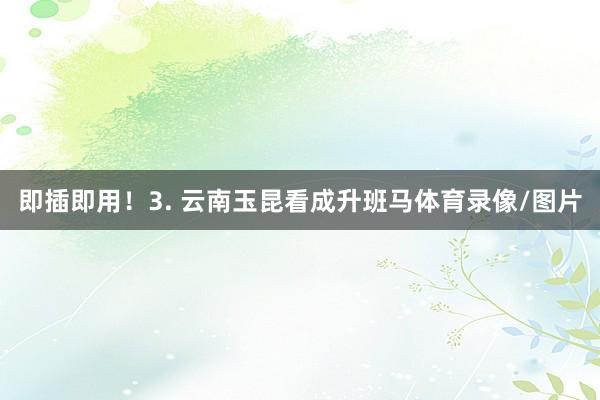 即插即用！3. 云南玉昆看成升班马体育录像/图片