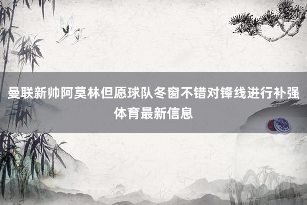 曼联新帅阿莫林但愿球队冬窗不错对锋线进行补强体育最新信息