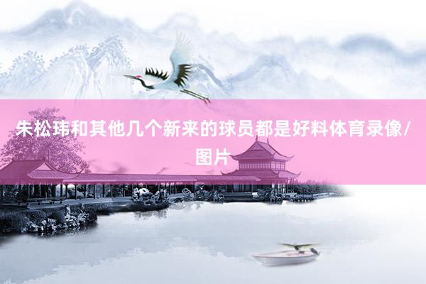 朱松玮和其他几个新来的球员都是好料体育录像/图片