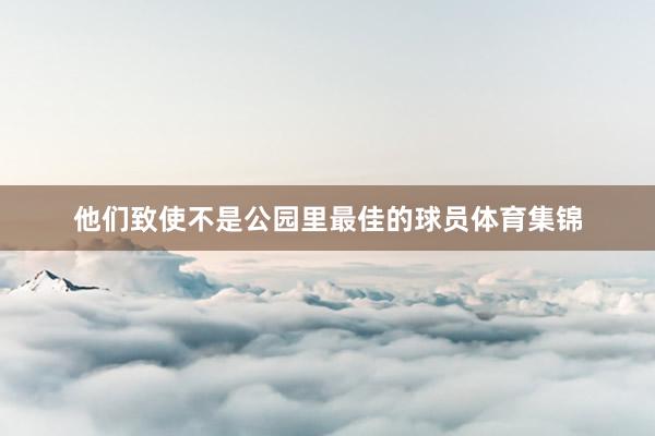 他们致使不是公园里最佳的球员体育集锦