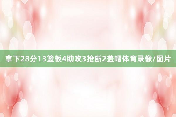 拿下28分13篮板4助攻3抢断2盖帽体育录像/图片