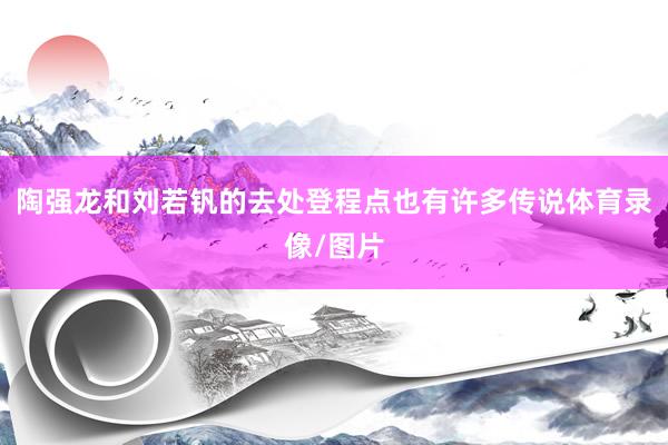 陶强龙和刘若钒的去处登程点也有许多传说体育录像/图片