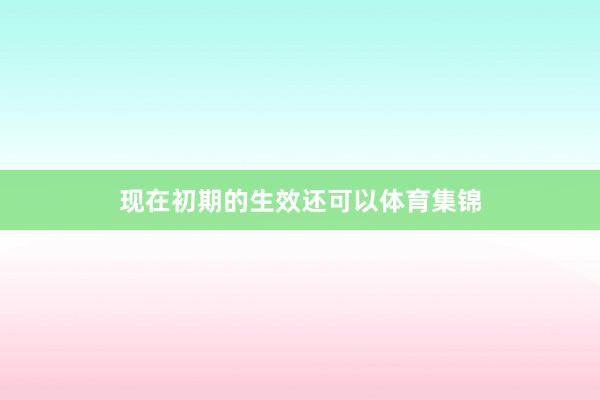 现在初期的生效还可以体育集锦