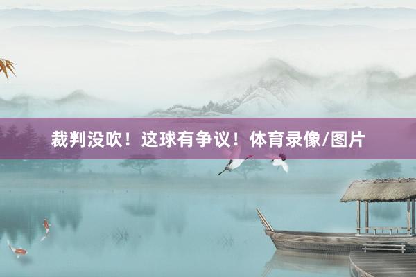 裁判没吹！这球有争议！体育录像/图片