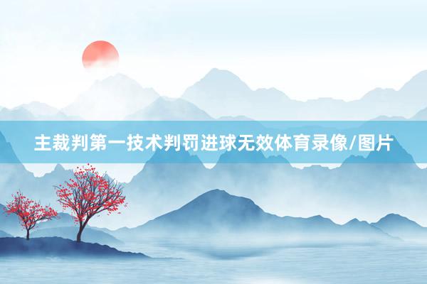 主裁判第一技术判罚进球无效体育录像/图片
