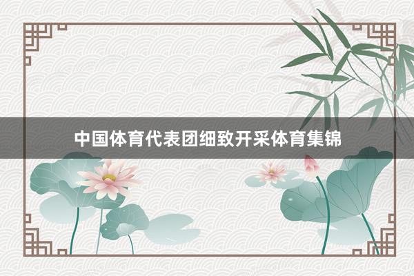 中国体育代表团细致开采体育集锦