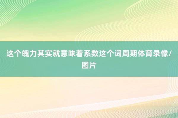 这个魄力其实就意味着系数这个词周期体育录像/图片